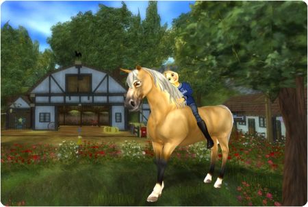 Star Stable Grafik