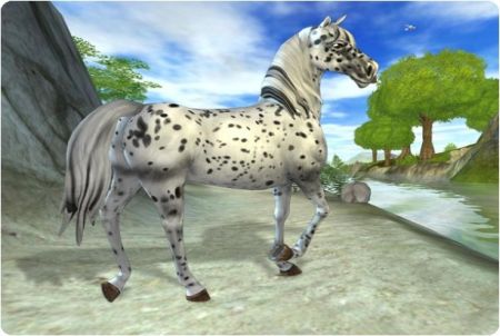 Pferde Online Spiele Kostenlos Ohne Anmeldung