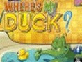 Where is my Duck