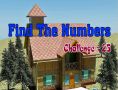 Find Numbers Challenge 18