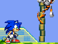 Sonics Welt