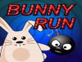 Bunny Run