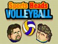 Sports Heads: Volleyball