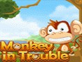 Monkey in Trouble