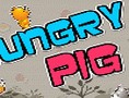 Hungry Pig