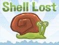 Shell lost