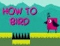 How to Bird