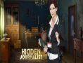 Hidden Journalist