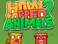 How to feed Animals