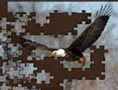 Bald Eagle Jigsaw Puzzle