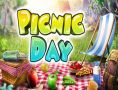 Picnic Day