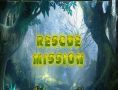 Rescue Mission