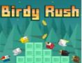 Birdy Rush