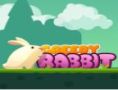 Greedy Rabbit