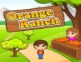 Orange Ranch