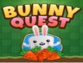 Bunny Quest