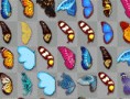 Schmetterlings Kyodai Vollbild