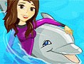 Meine Delfinshow