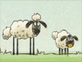 Schafes Heim, Glück allein